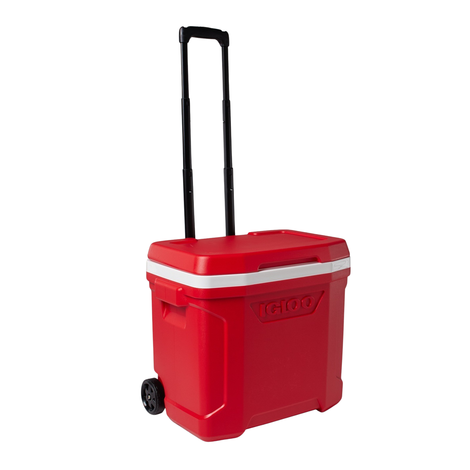 Igloo Profile II® 28-quart Cooler 6