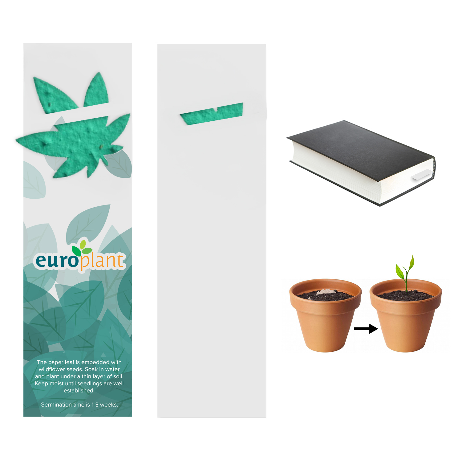 Plantable Bookmark 2