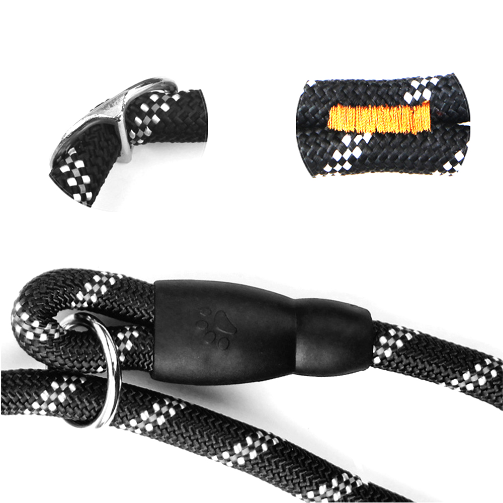 Pet Leash 2