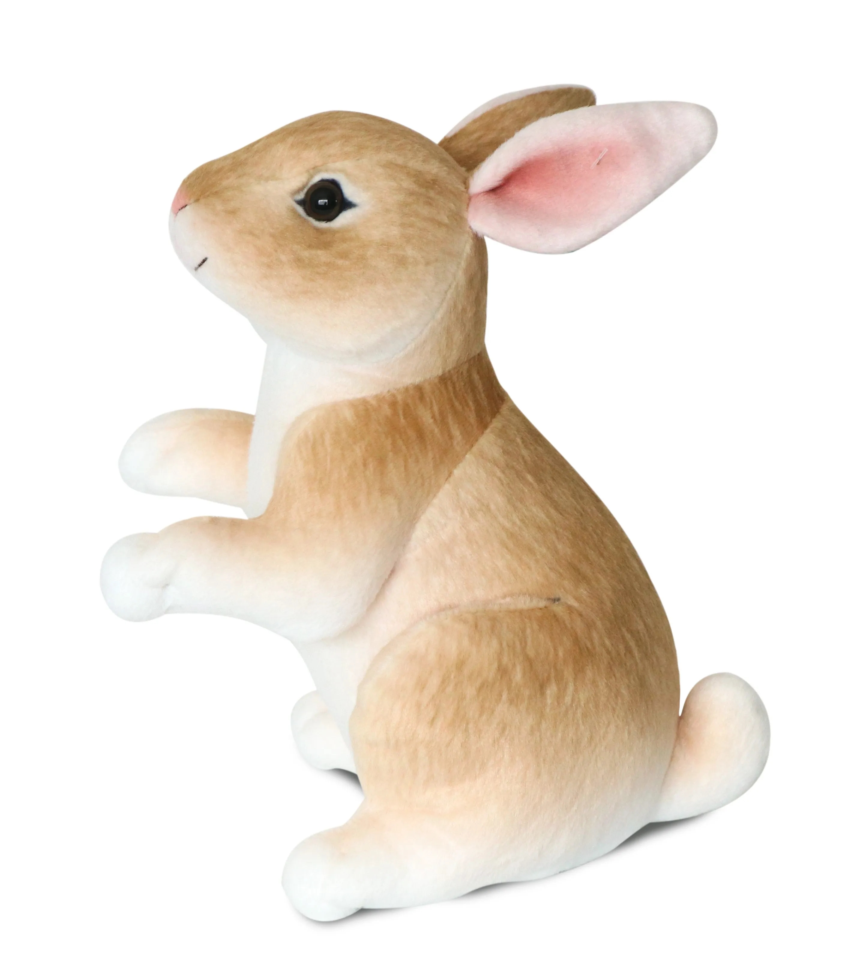 Beige Rabbit 2