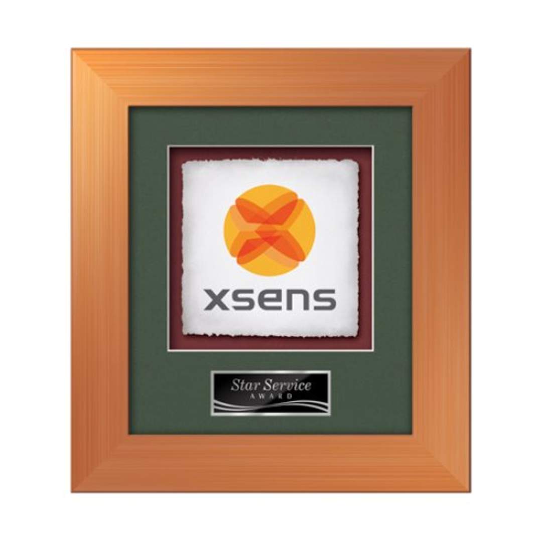 Premier - Bronze 1
