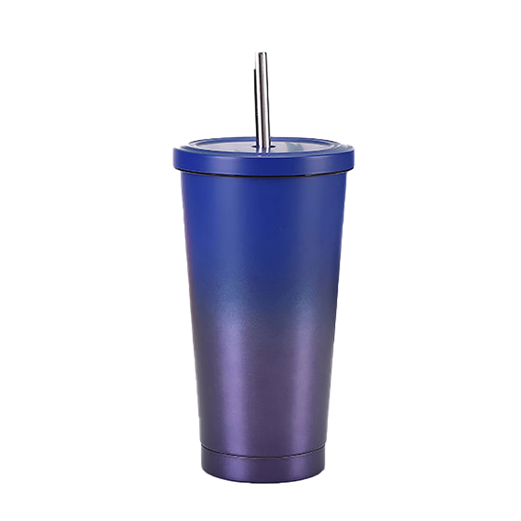 Insulated Stainless Steel Water Bottles with Straw 20 Oz 18
