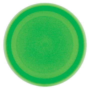 9" Flyer Disc with our RealColor360 Imprint