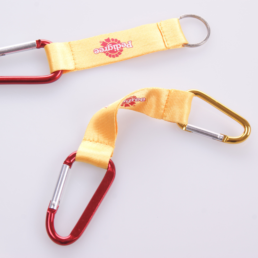 Carabiner Lanyard Keychain 1