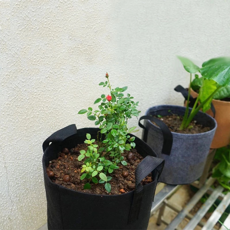 Planting Bag 3