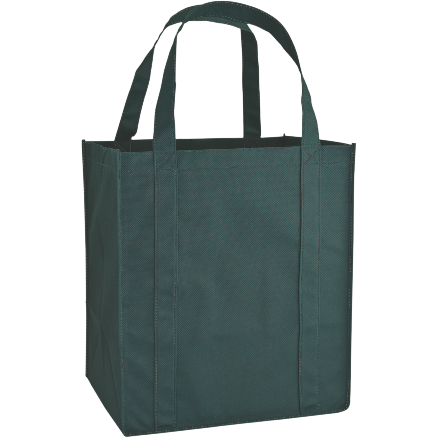 Eclsb Carry Large Shopping Bag 4