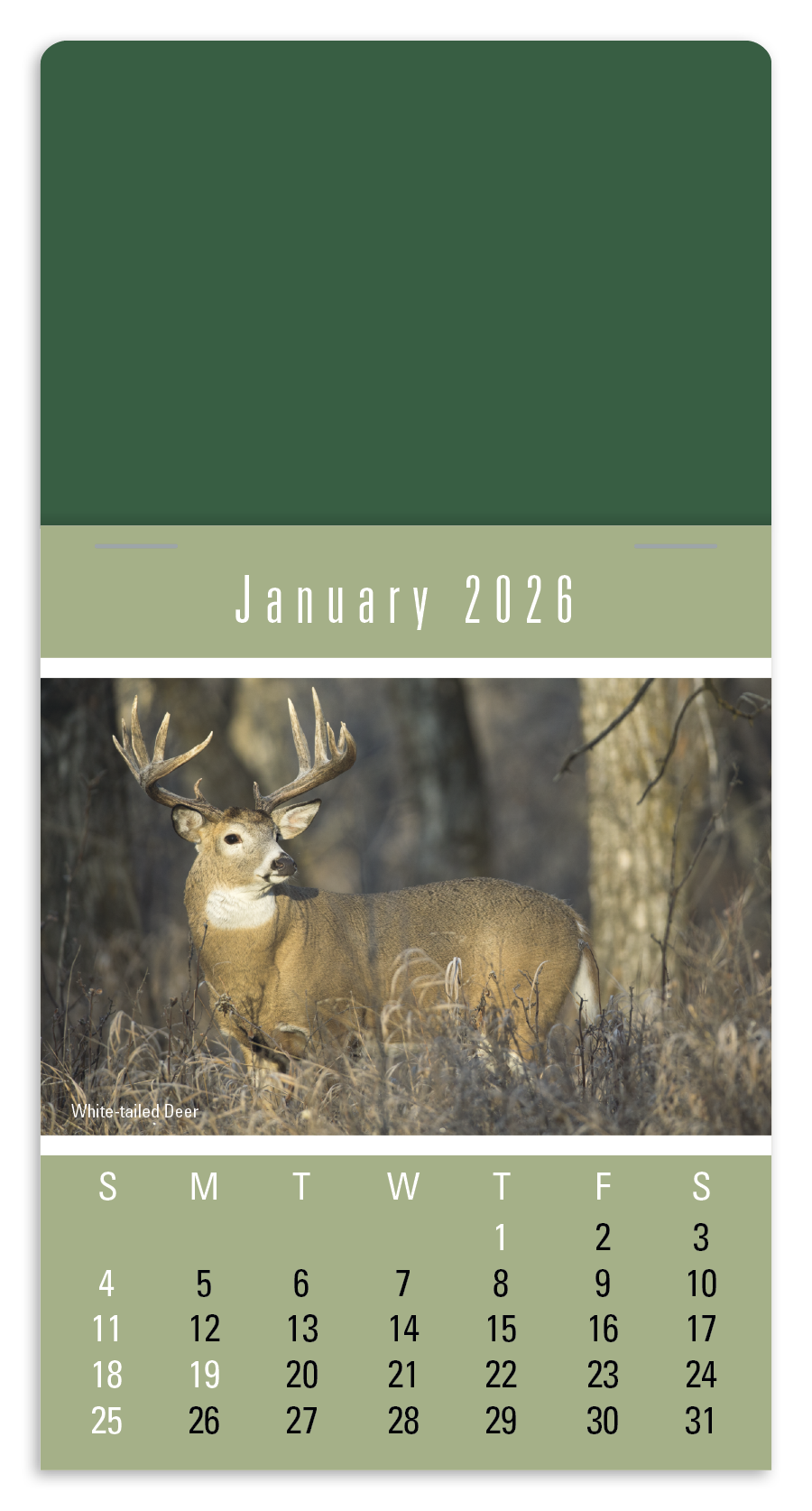 Press-N-Stick Sportsmen Calendar