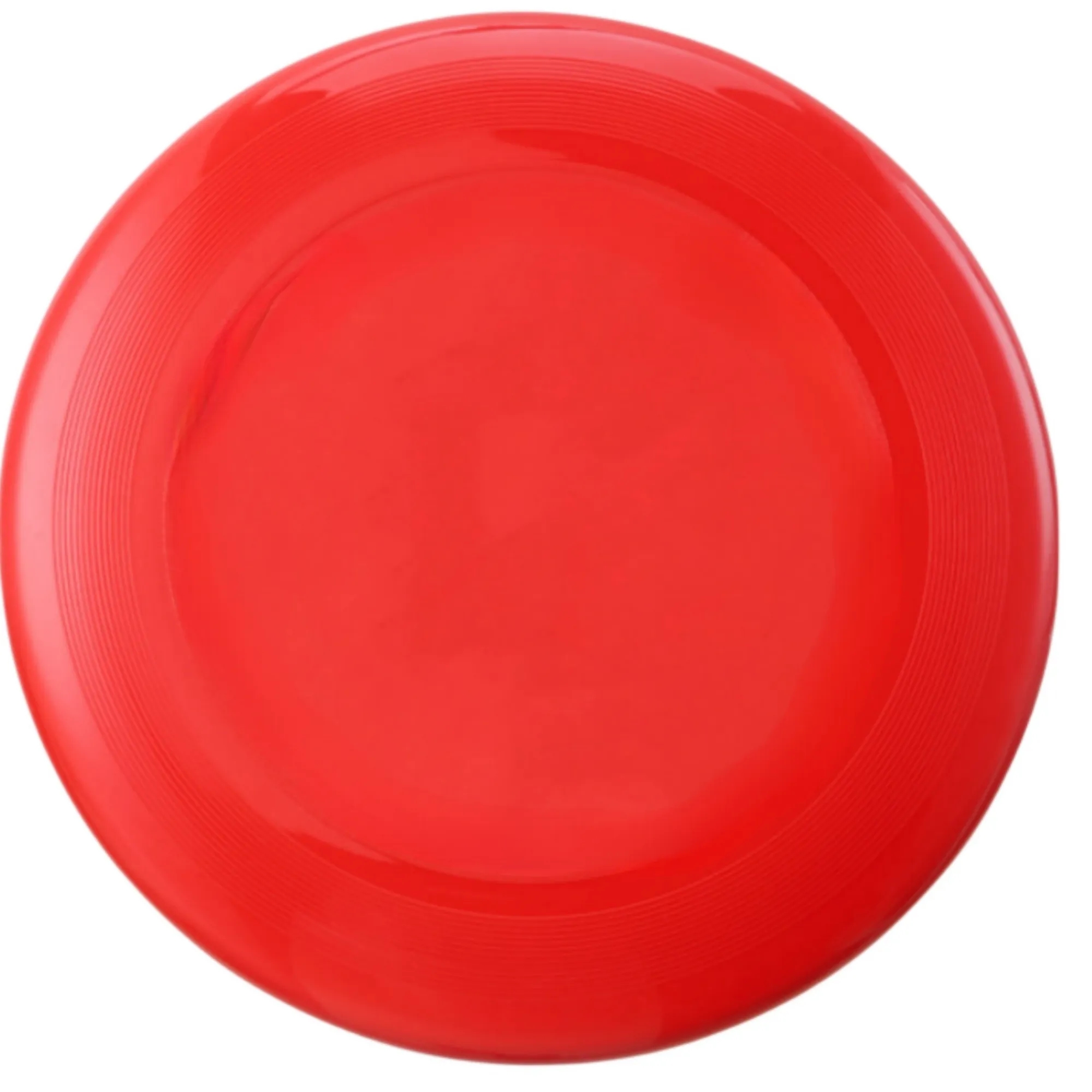 Dog Flying Disc 12
