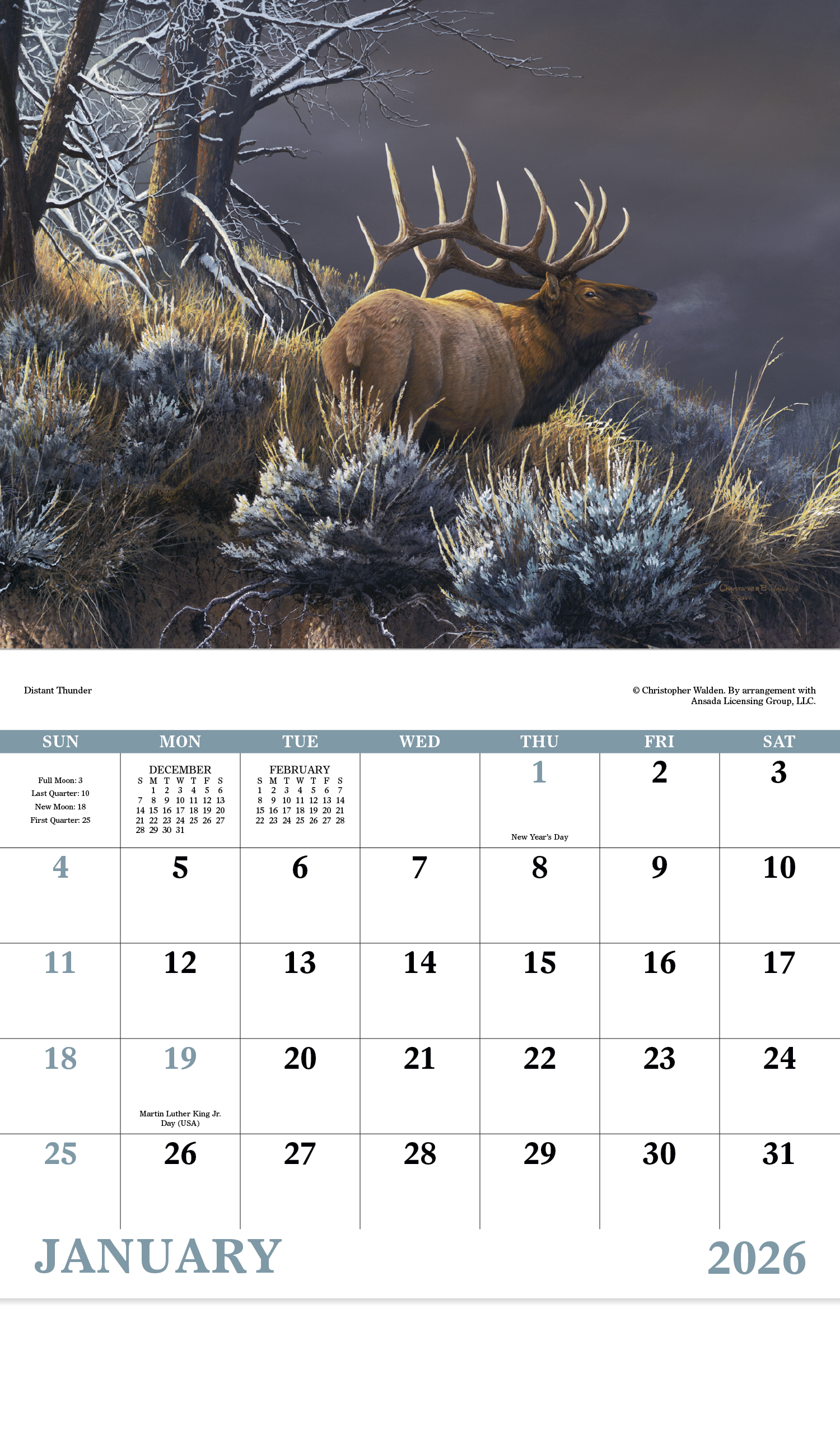 Good Value™ Wildlife Canvas - Stapled Calendar 27