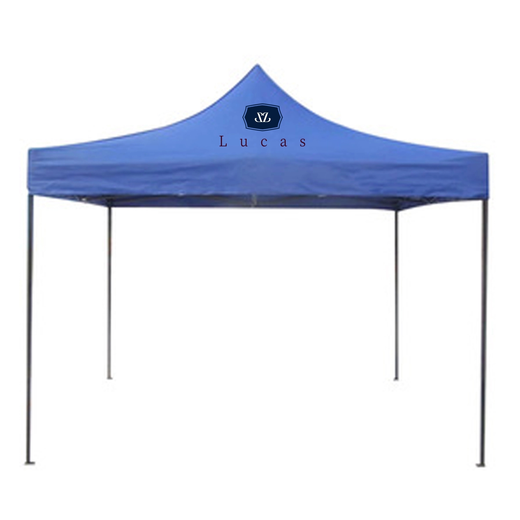 9.8' x 9.8'Foldable tent with cloth on all sides 2