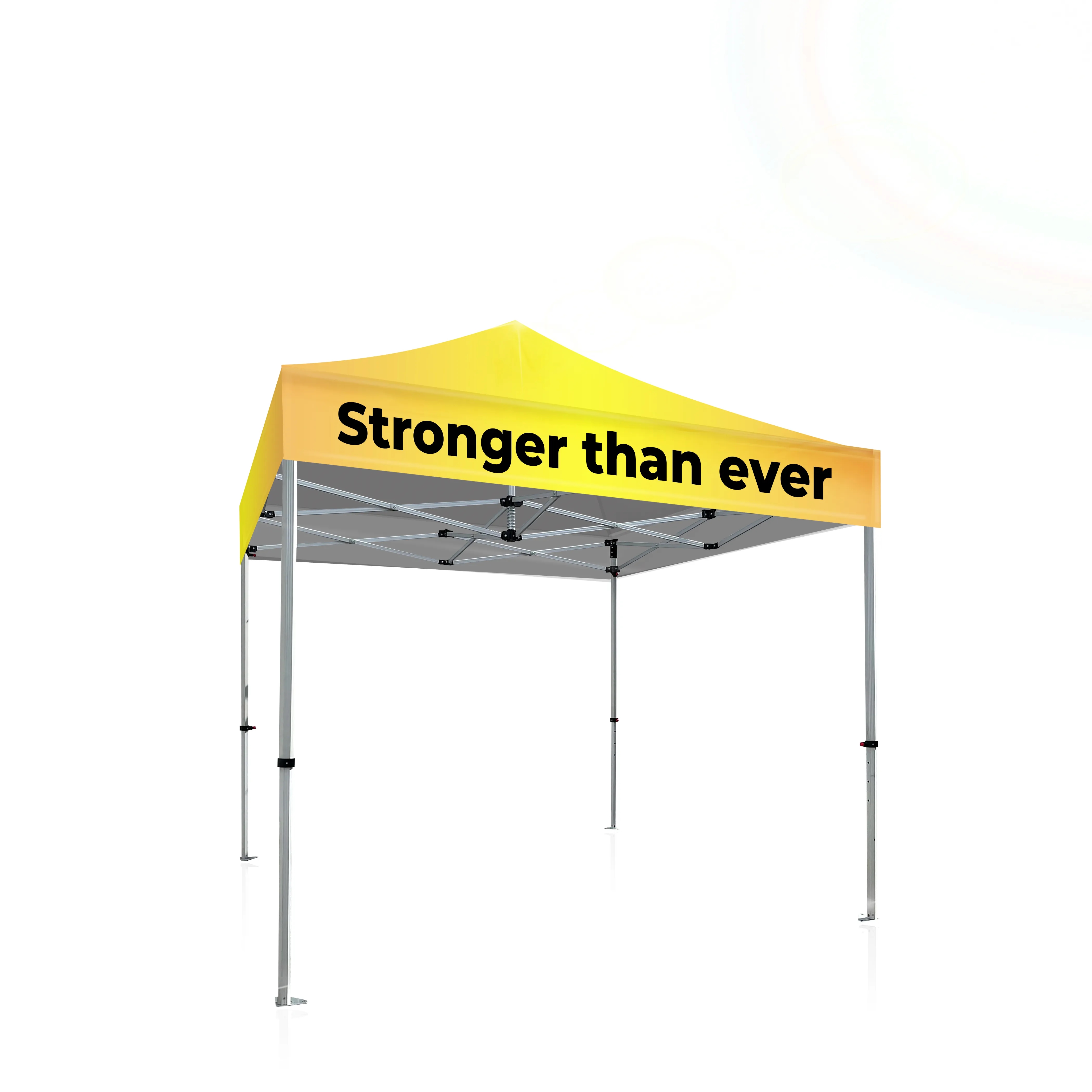 10x10 Platinum LifeTime Tent with Full Color Canopy 4