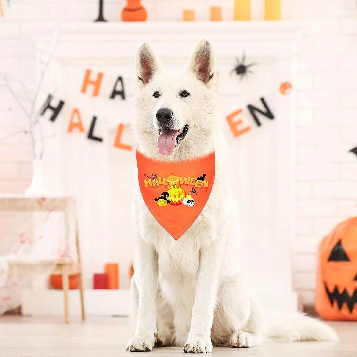 Pet Triangle Towel Saliva Bandana 2