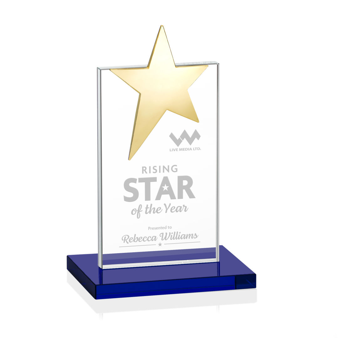 Bryanston Gold Star Award - Blue 5