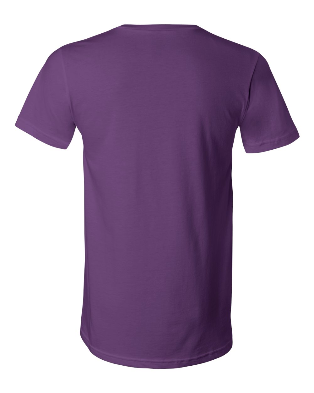 Unisex Jersey V-Neck Tee - 3005 48