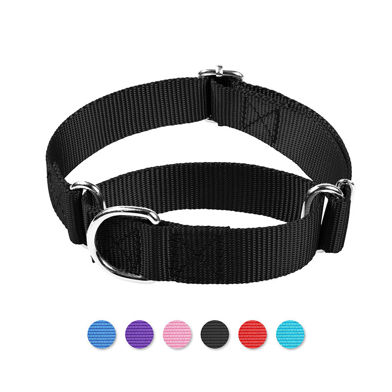 Dog Collars 3