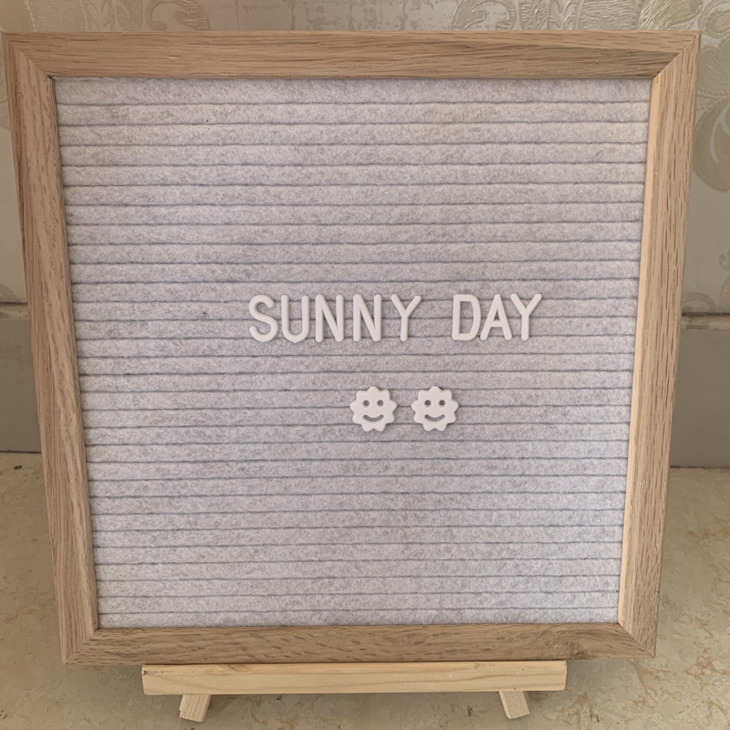Felt Letter Board w/460PRE-Cut Letters 2