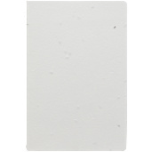 4” x 6” Seed Paper Meeting Notebook 30