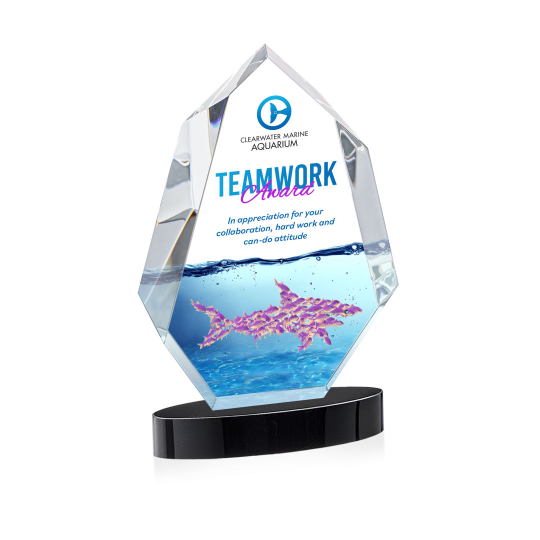 Norwood VividPrint™ Award on Alberton Base - Black 3