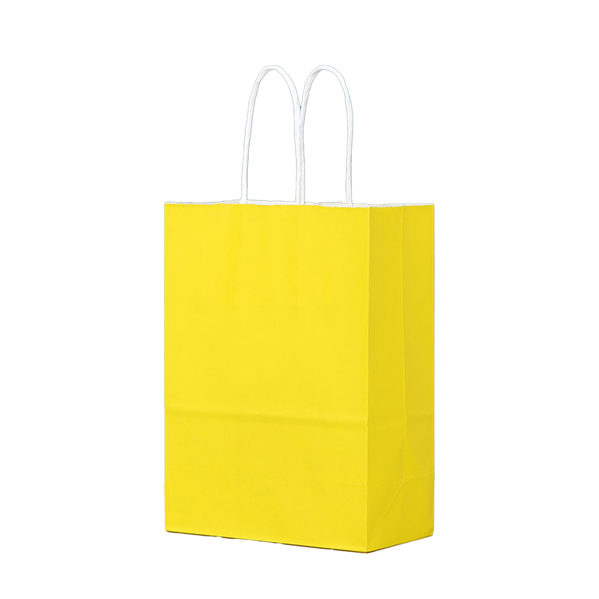 Multipurpose Kraft Handbags 1
