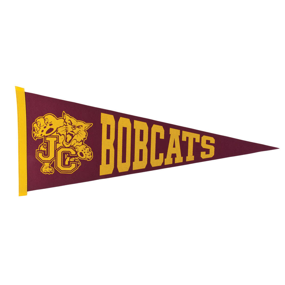 12" x 30" Colored Felt Pennant 18