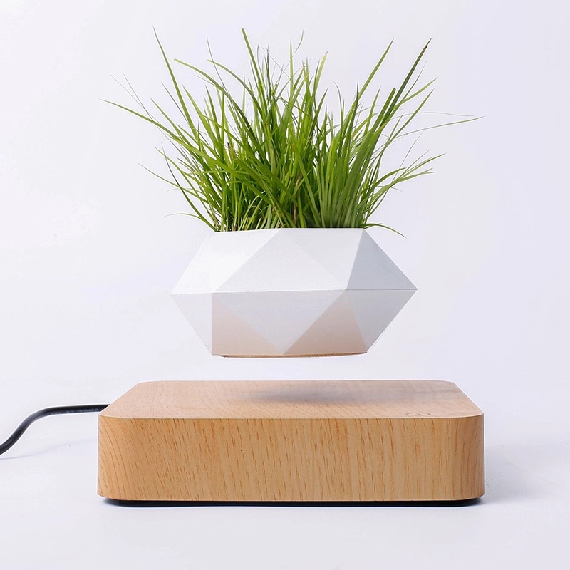 Magnetic Levitating Floating flower planter 3