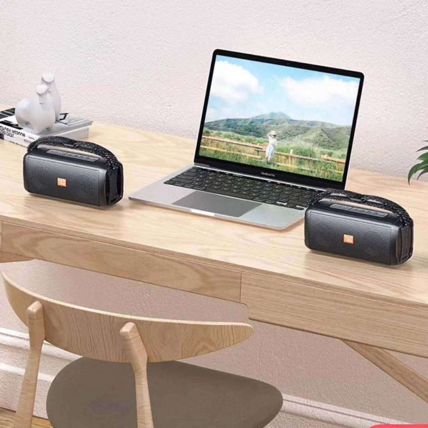 Radio Card Insertion Cartoon Speaker 4