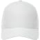 Unisex DOMINATE Ballcap 268