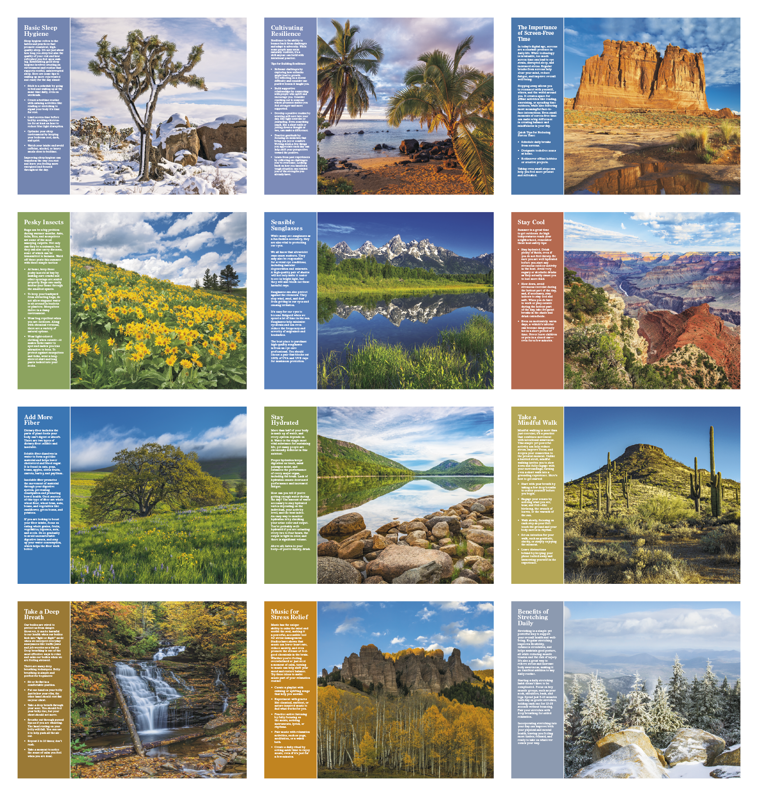 Good Value™ Healthy Living - Stapled Calendar 42