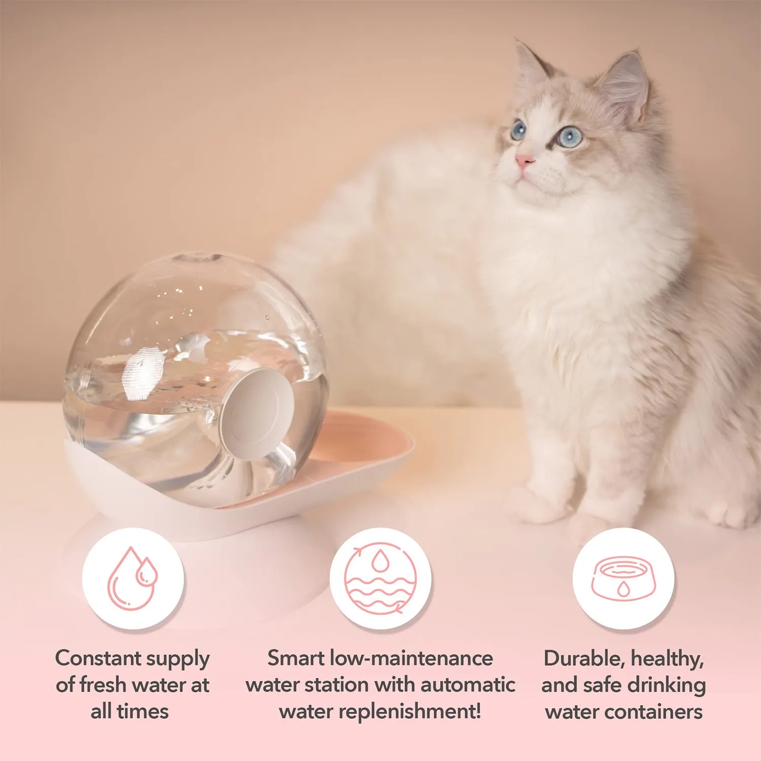 Pet Automatic Water Feeding Large Capacity Dispenser 9