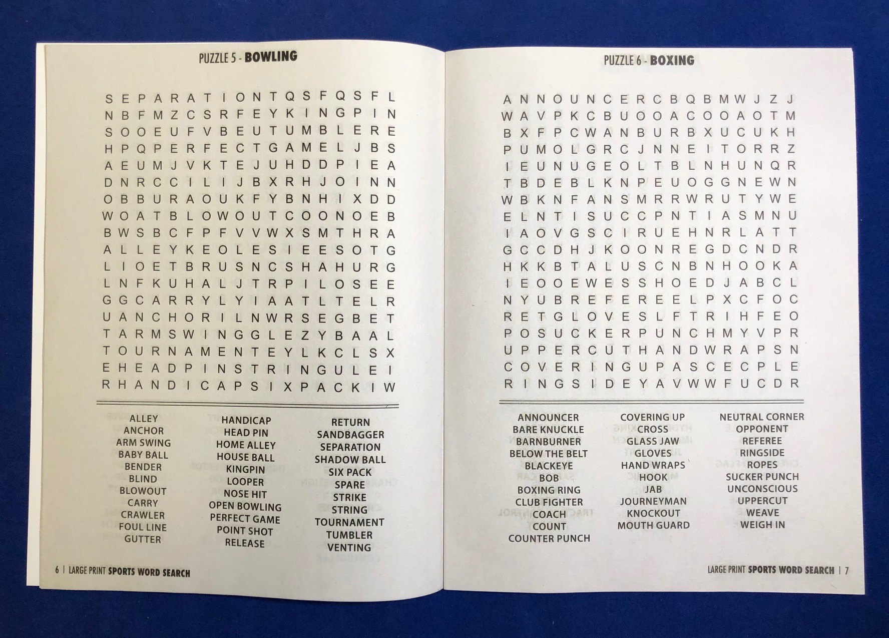 PUZZLE BOOK - Sports Large Print Word Search Book 6