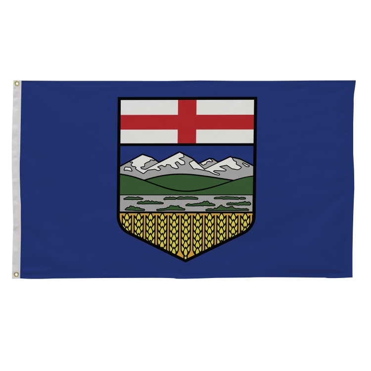 3' x 5' International Flags 249
