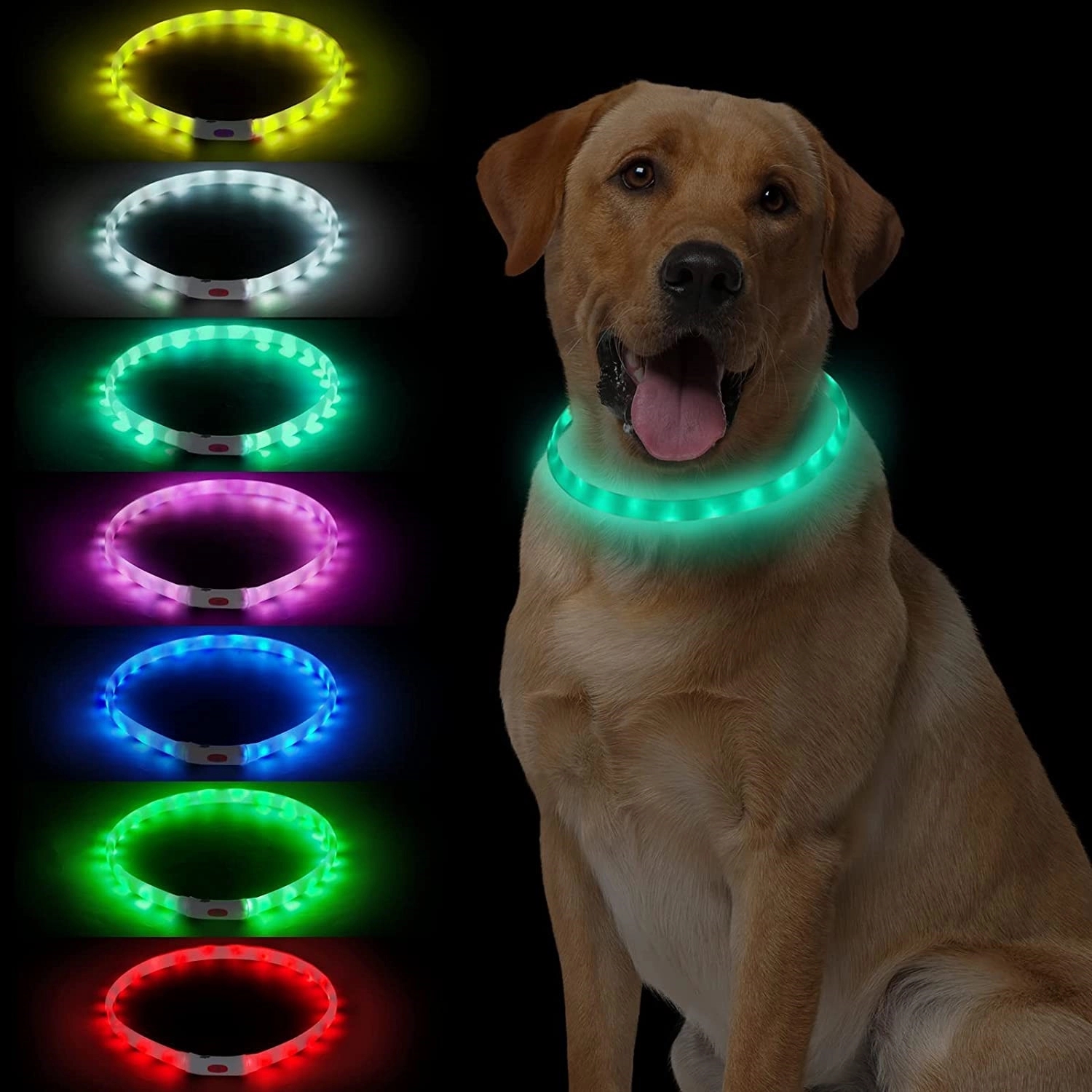 LED Dog Collar 6