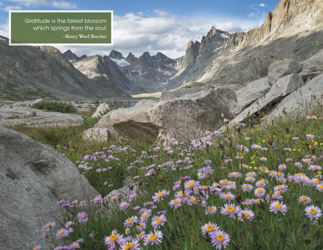 Good Value™ Inspirations for Life - Window Calendar 26