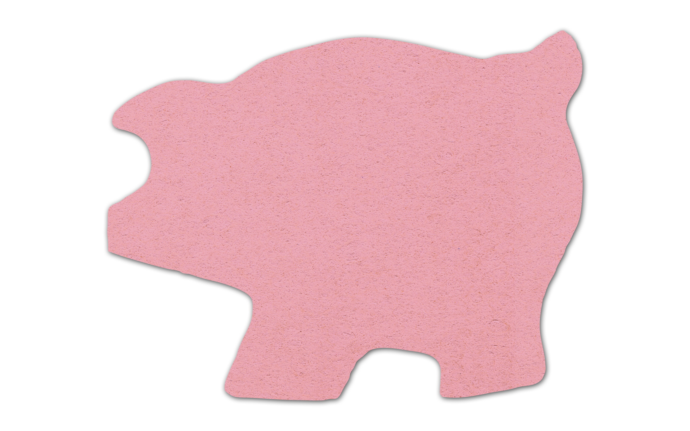 Piggy Bank Compressed Sponge 5PG 2