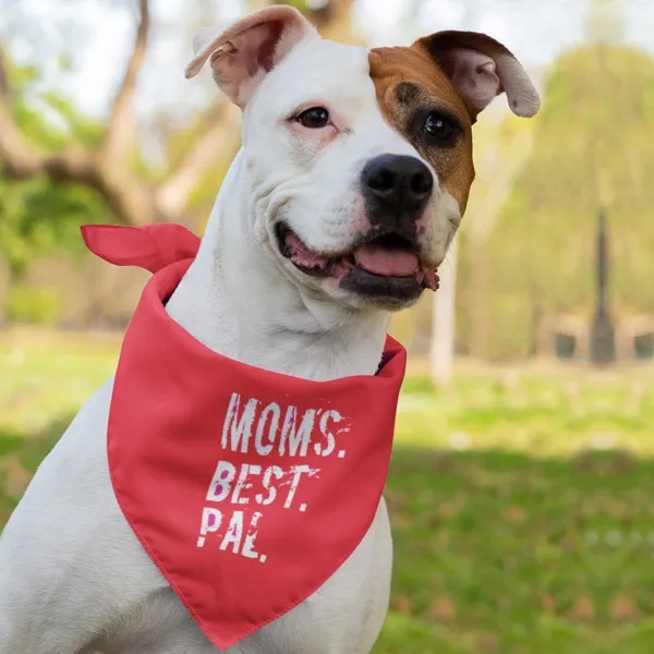 Pet Bandana Scarf 1