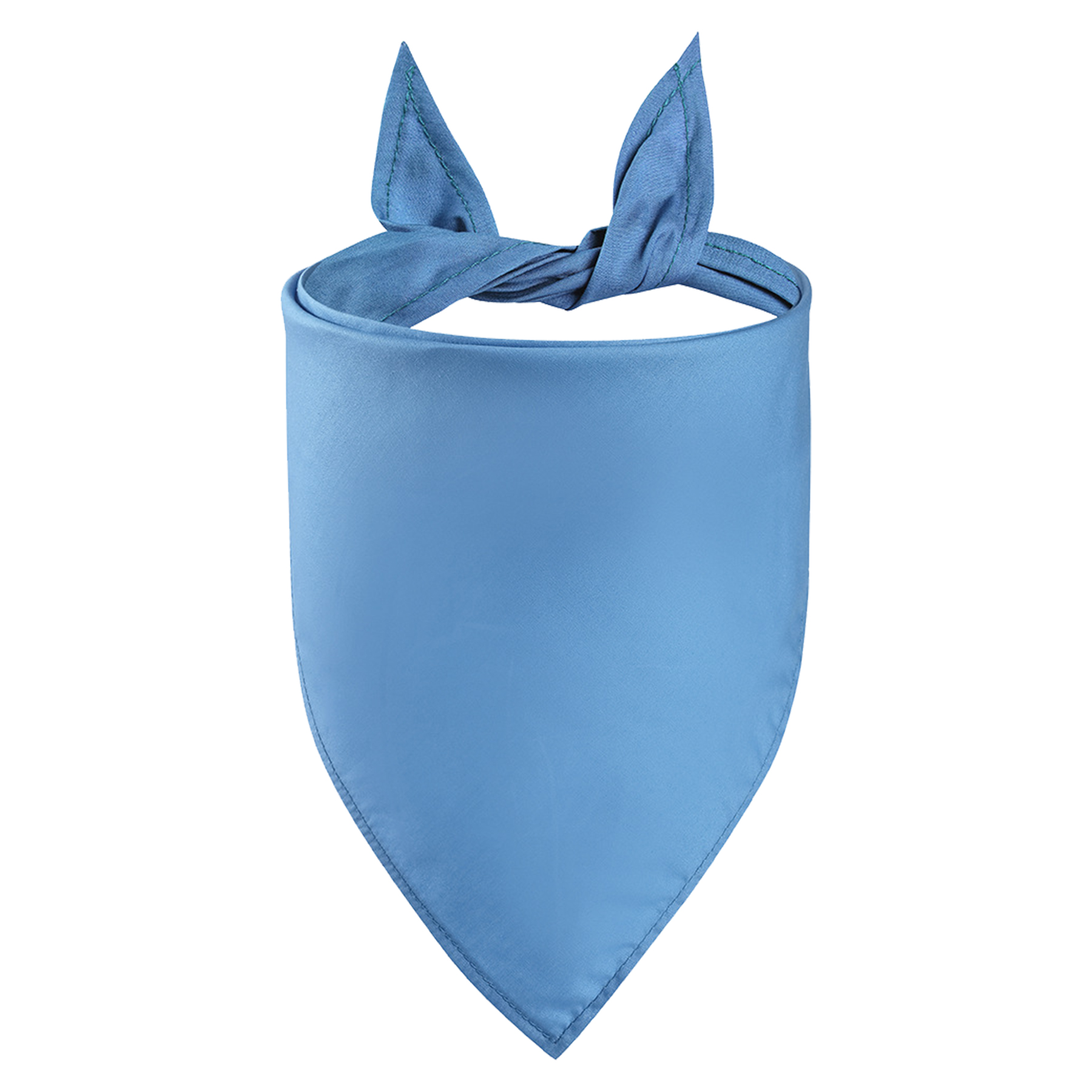 Pet Bandanna 2