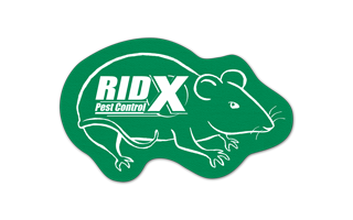 Rat/Mouse Vinyl Jar Opener 8