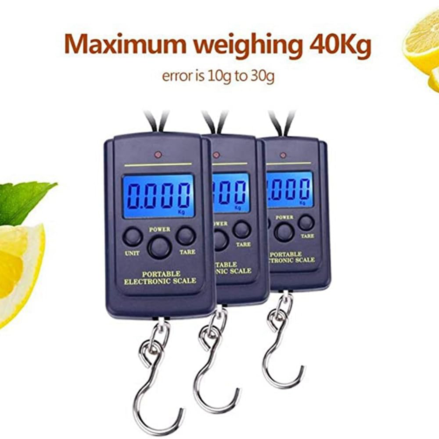 Fish Scales Digital Weight 5