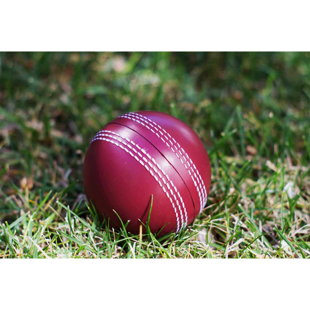 Cricket Ball Stress Reliever 2