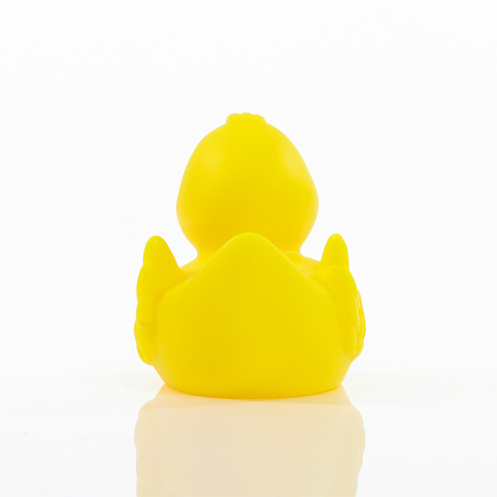 Duck With Wings 10
