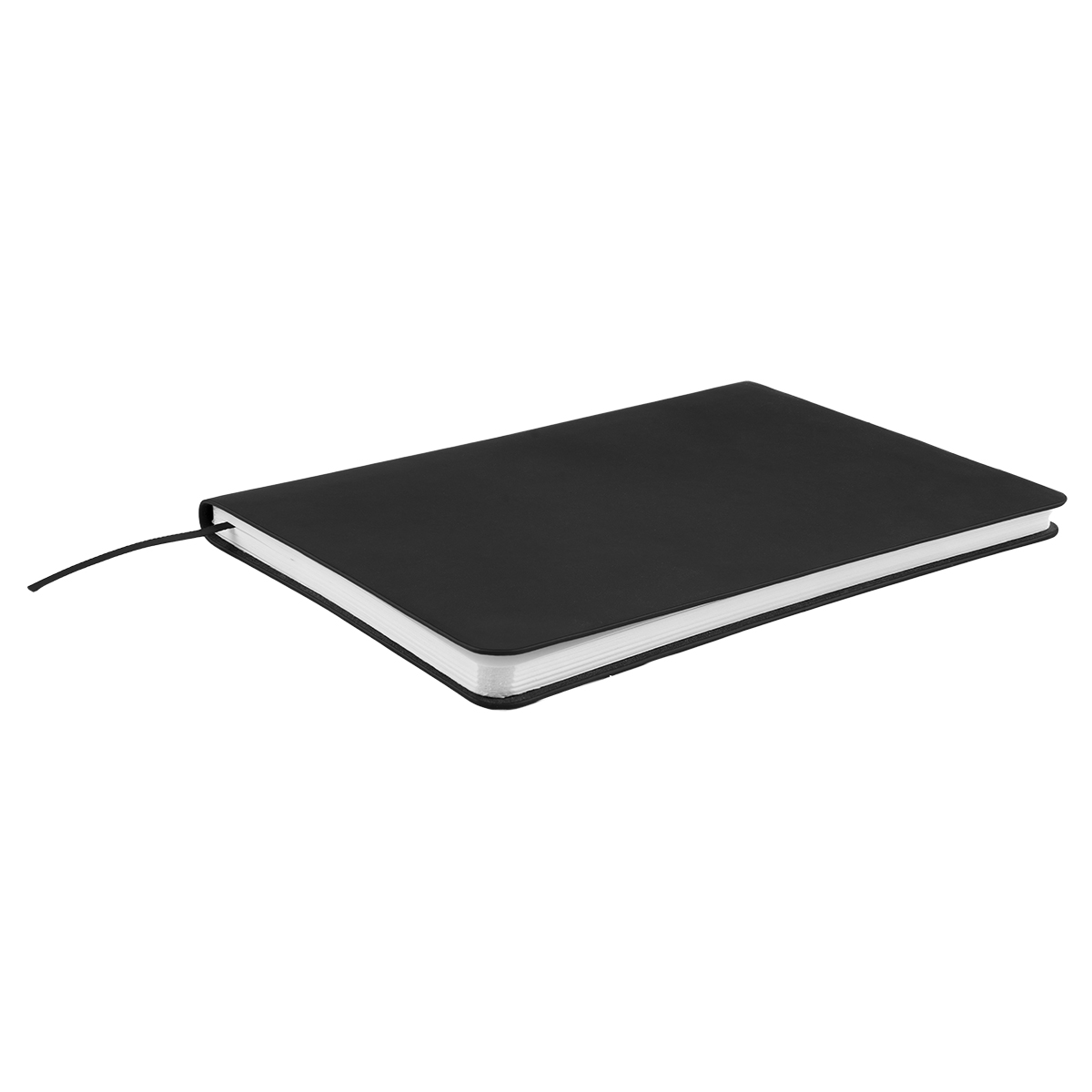 Olivia rPET Journal 2