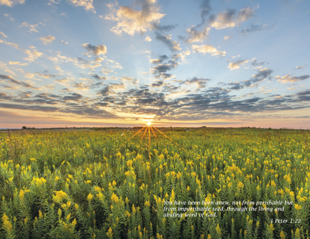 Triumph® Calendars Catholic Scenic Calendar 17