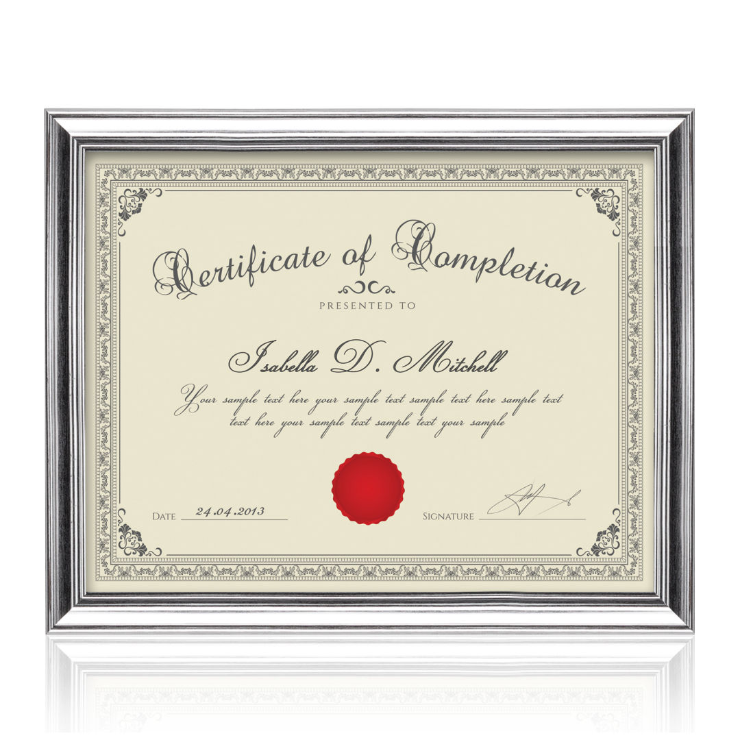 Ellison Certificate Frame - Silver 3