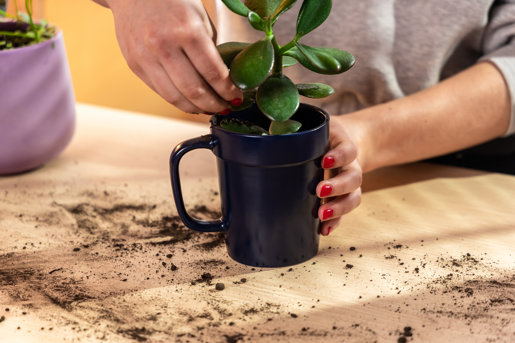 16 oz Planter Mug 30