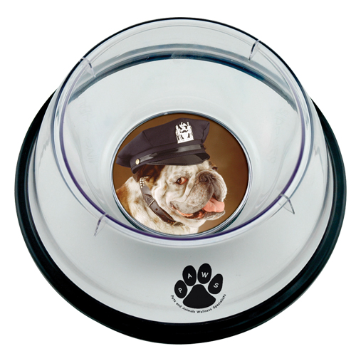 Small Pet Bowl