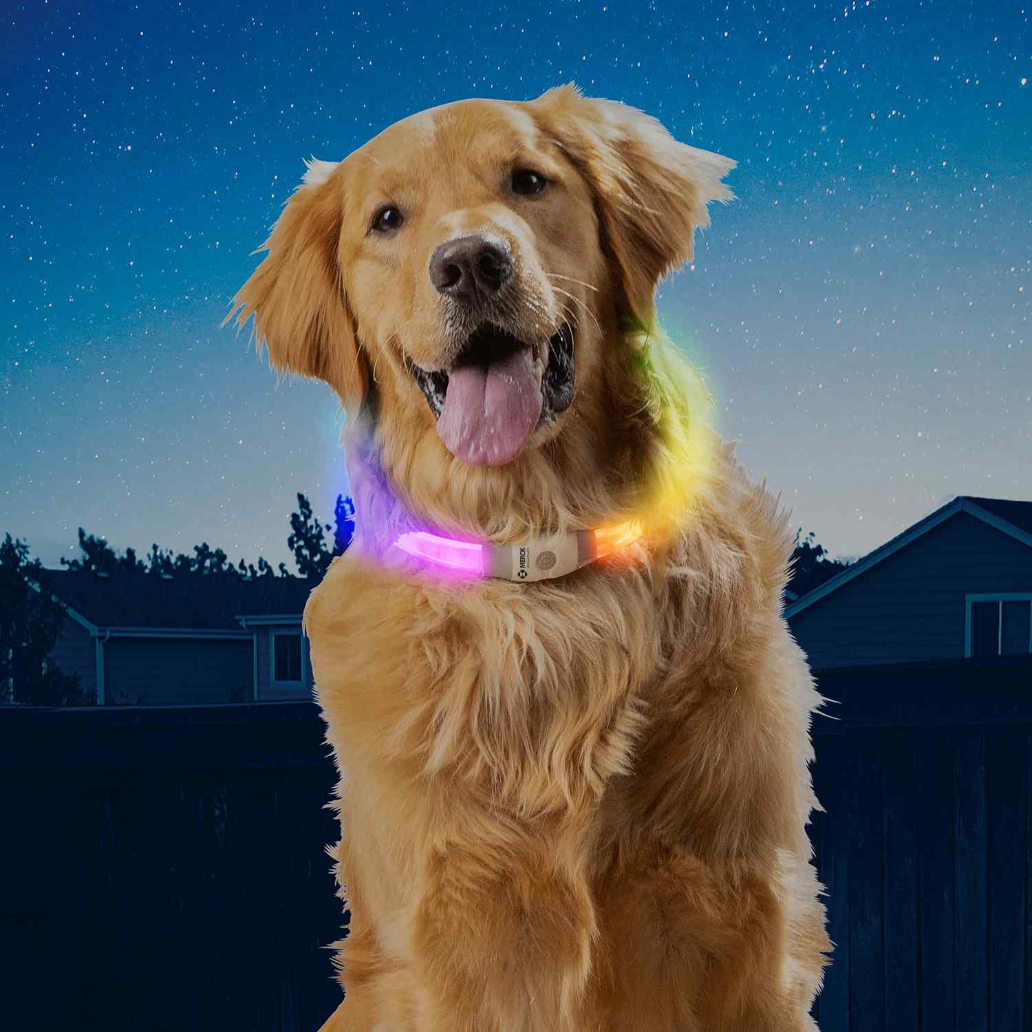 NITE IZE® NITEHOWL® MAX RECHARGEABLE LED SAFETY NECKLACE 4