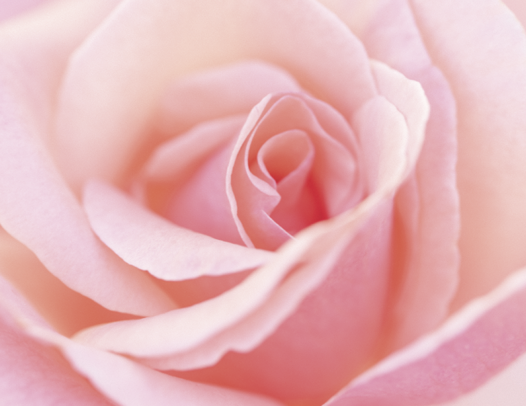Good Value™ Flowers - Spiral Calendar 21
