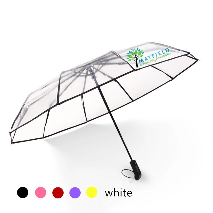 Clear Umbrella 6