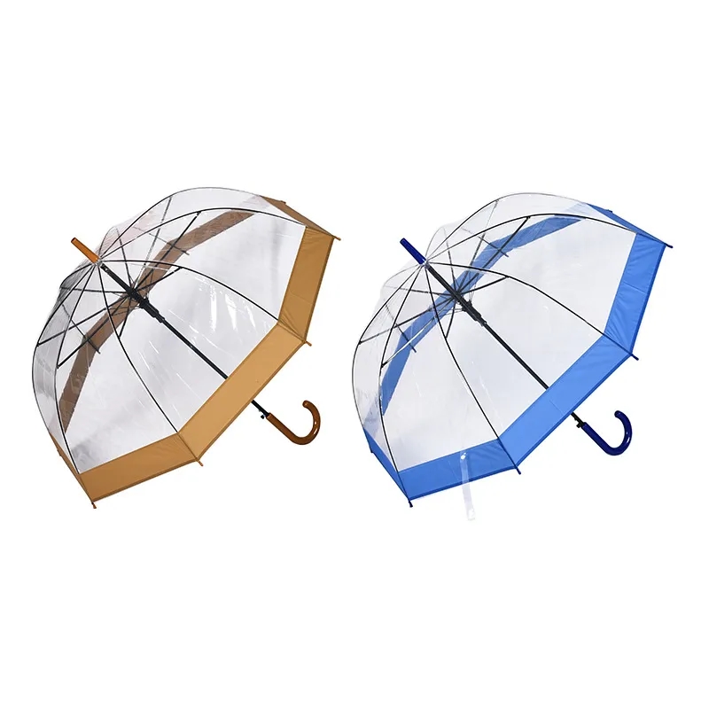 Clear and Transparent Umbrella 13