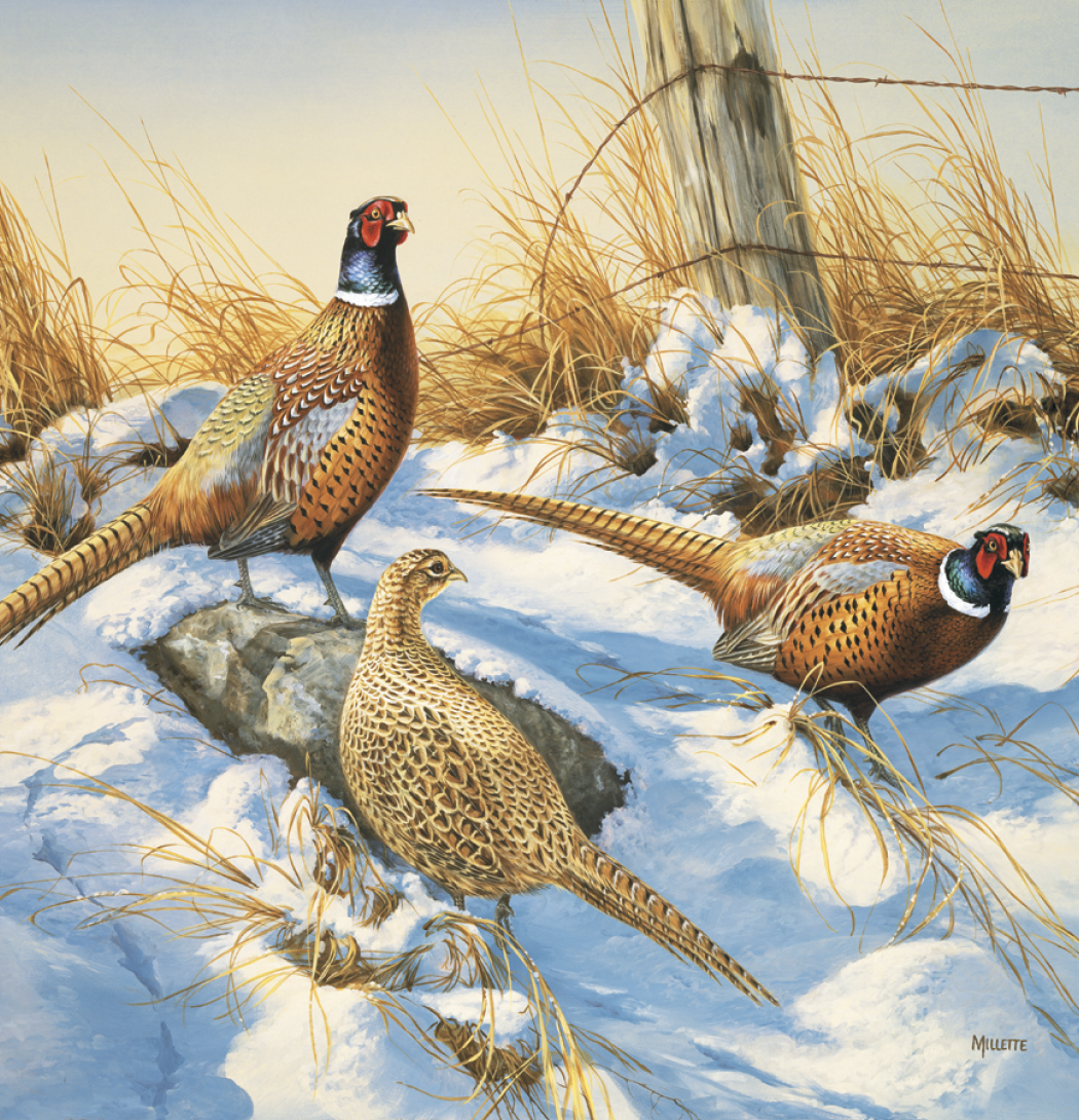 Triumph® Calendars Wildlife Art Calendar 11